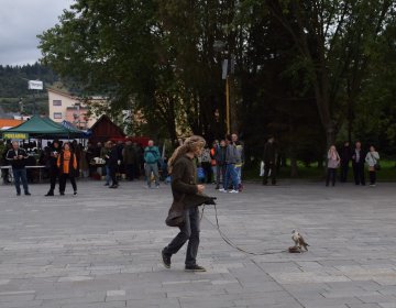 dsc_0167 4